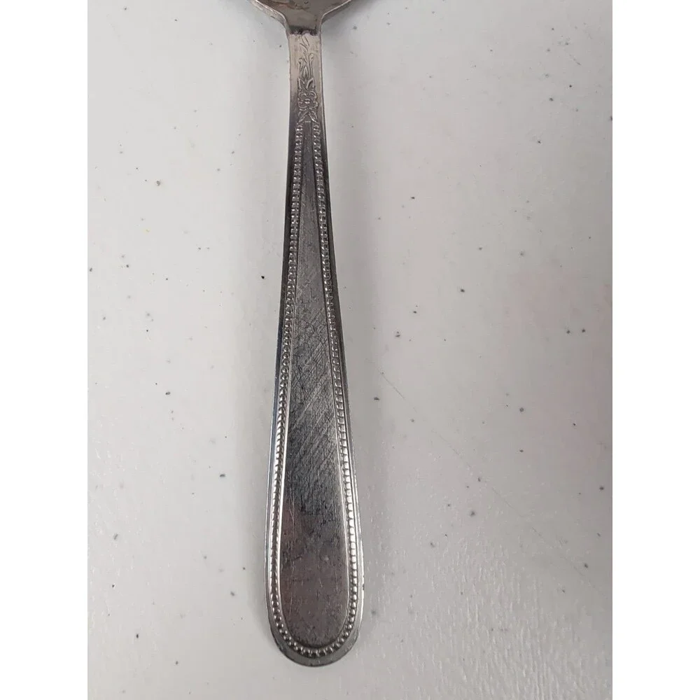 Oneida Rogers NEEDLEPOINT/BEADED ARTISTRY Table / Serving Spoon Stainless